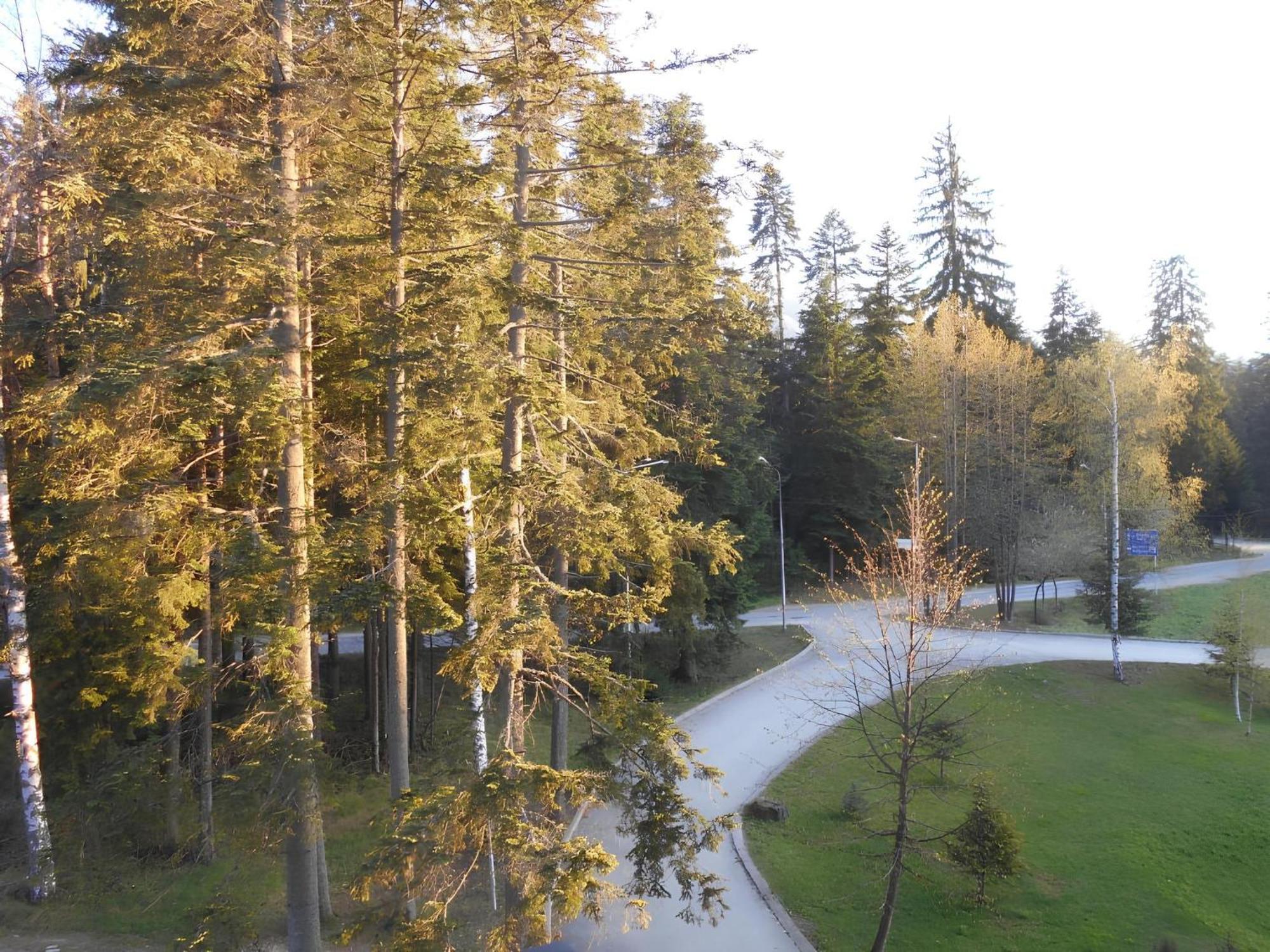 Neat Studios In "Borovets Gardens" Hotel Kültér fotó